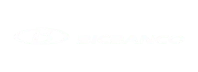 bicbanco